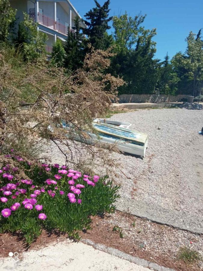 Apartments Vukelic Starigrad Paklenica Εξωτερικό φωτογραφία